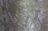 Grianan fibreglass roof work