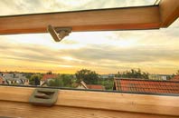 rated Grianan roof window companies